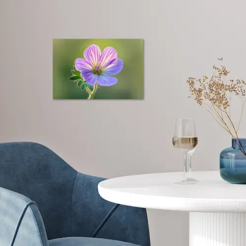 Bloem - Close up - Paars poster papier klein -sfeer3