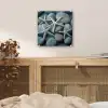 Zeesterren - Stenen - Wit plexiglas 5mm klein -sfeer4