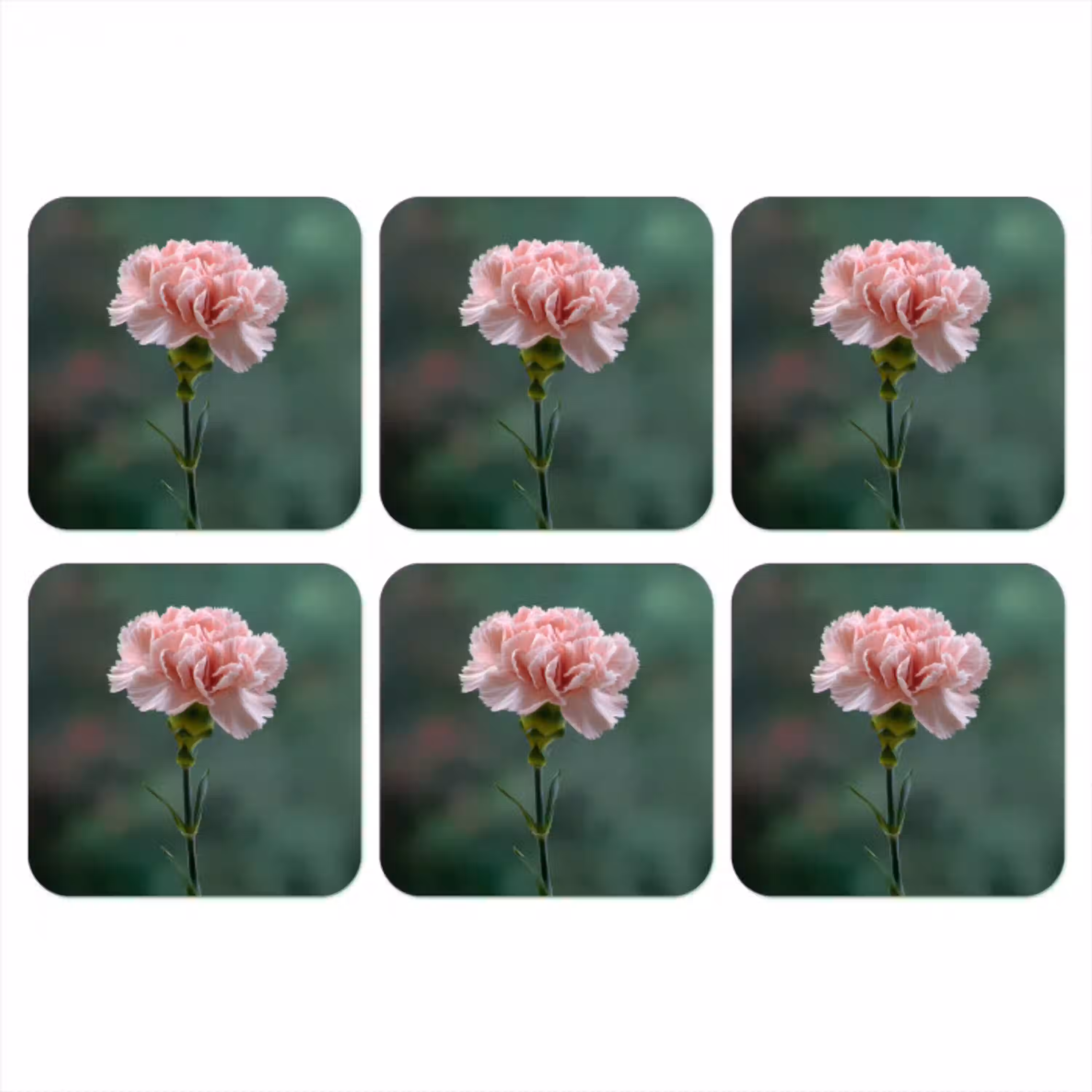 Anjer - Roze - Bloemblaadjes onderzetter kurk middel -3d