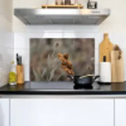 Zonnehoed - Droogbloemen - Geel - Warm Inductie beschemer met haakjes klein -sfeer2