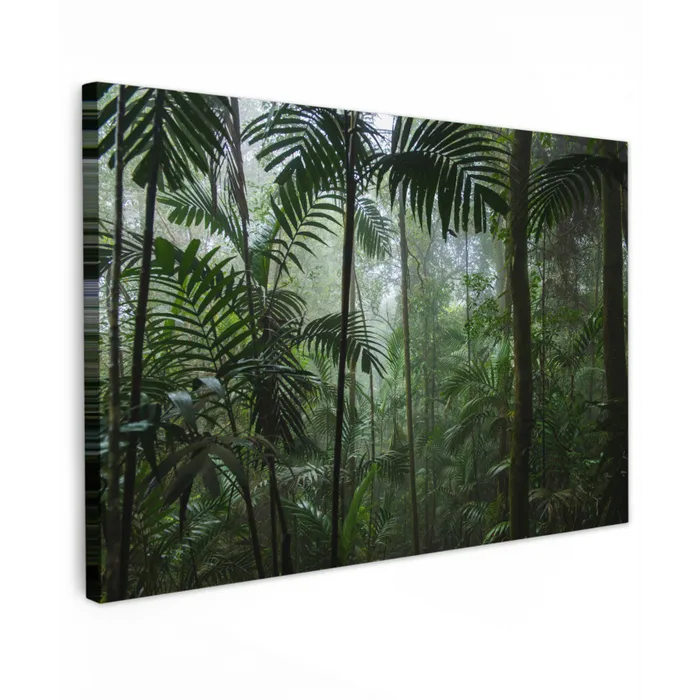 Regenwoud - Tropisch - Jungle - Bomen - Planten canvas 2cm klein -z3d