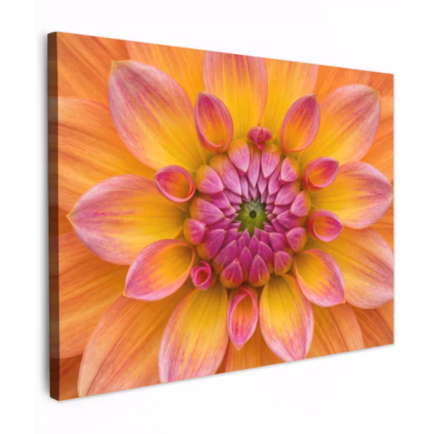 Canvas schilderij - Dahlia - Bloem - Oranje