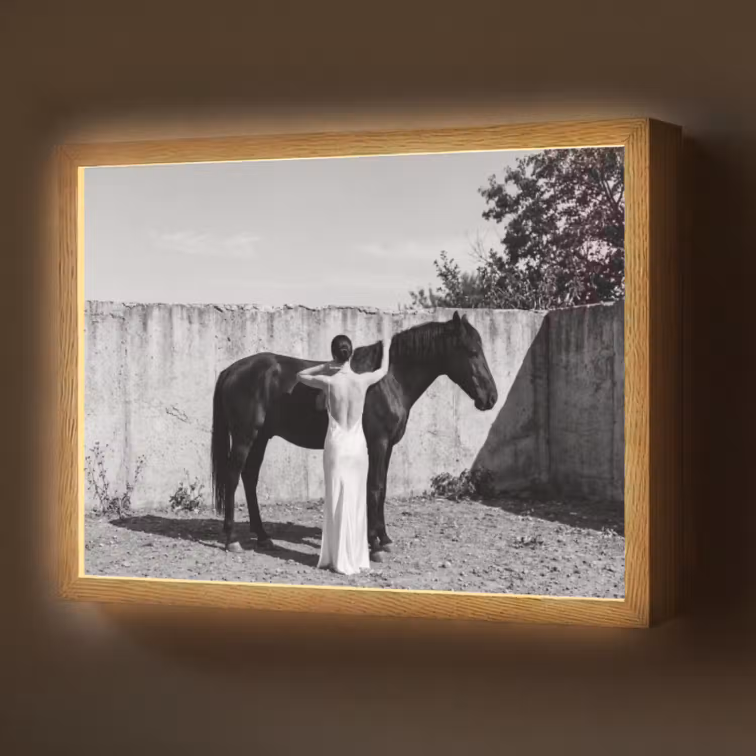 Lightbox - Wandlamp - Vrouw - Paard - Artistiek