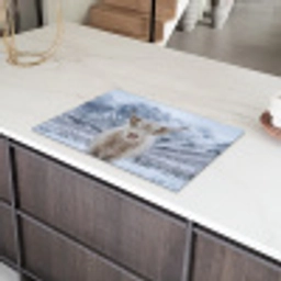 Schotse Hooglander - Sneeuw - Bergen - Winter Inductie beschermer vinyl 3mm klein -sfeer8