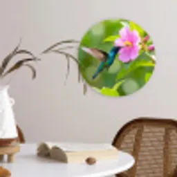 Kolibrie - Bloem - Natuur - Groen Wandcirkel kunststof plaat 5mm dik klein -sfeer4