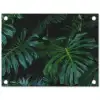 Monstera -  Inductie beschermer - Bladeren - Tropical - Afdekplaat voor kookplaat tuinposter los doek klein -3d