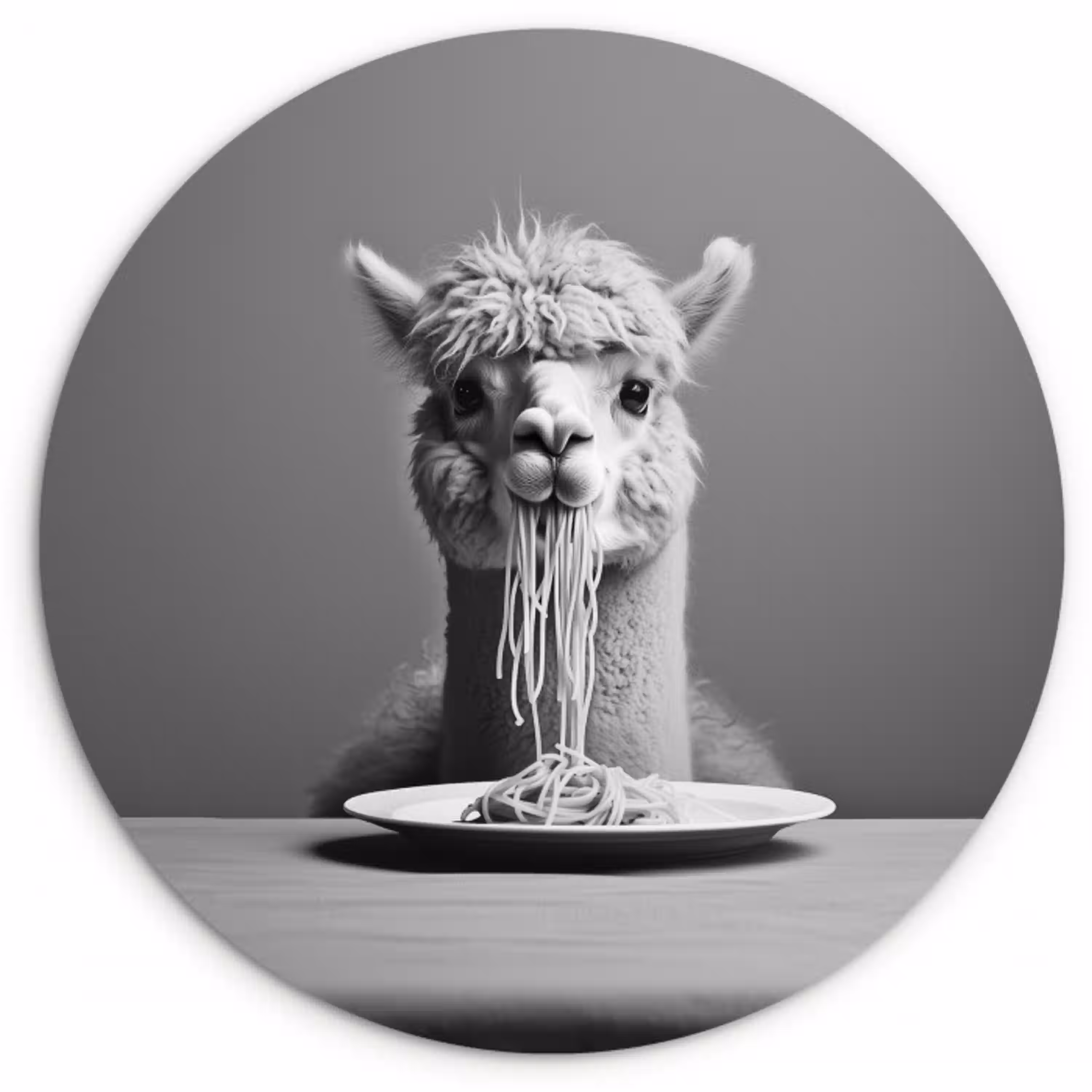 Alpaca - Pasta - Zwart - Wit - Grappig - Dieren Wandcirkel kunststof plaat 5mm dik klein -3d
