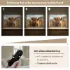 Schotse hooglander - Dieren portret - Natuur - Dier Light Box met batterij (Wandlamp) middel -USP_dimbaarNL