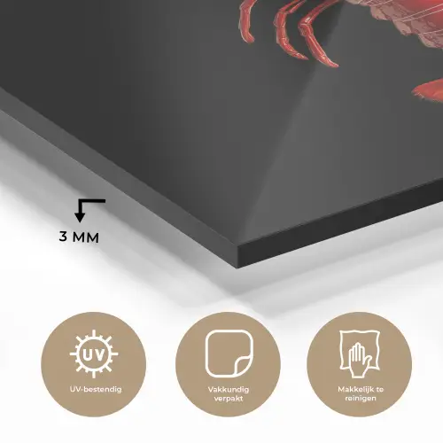 Kreeft - Glossier Rood - Zwart plexiglas 5mm klein -sfeer2