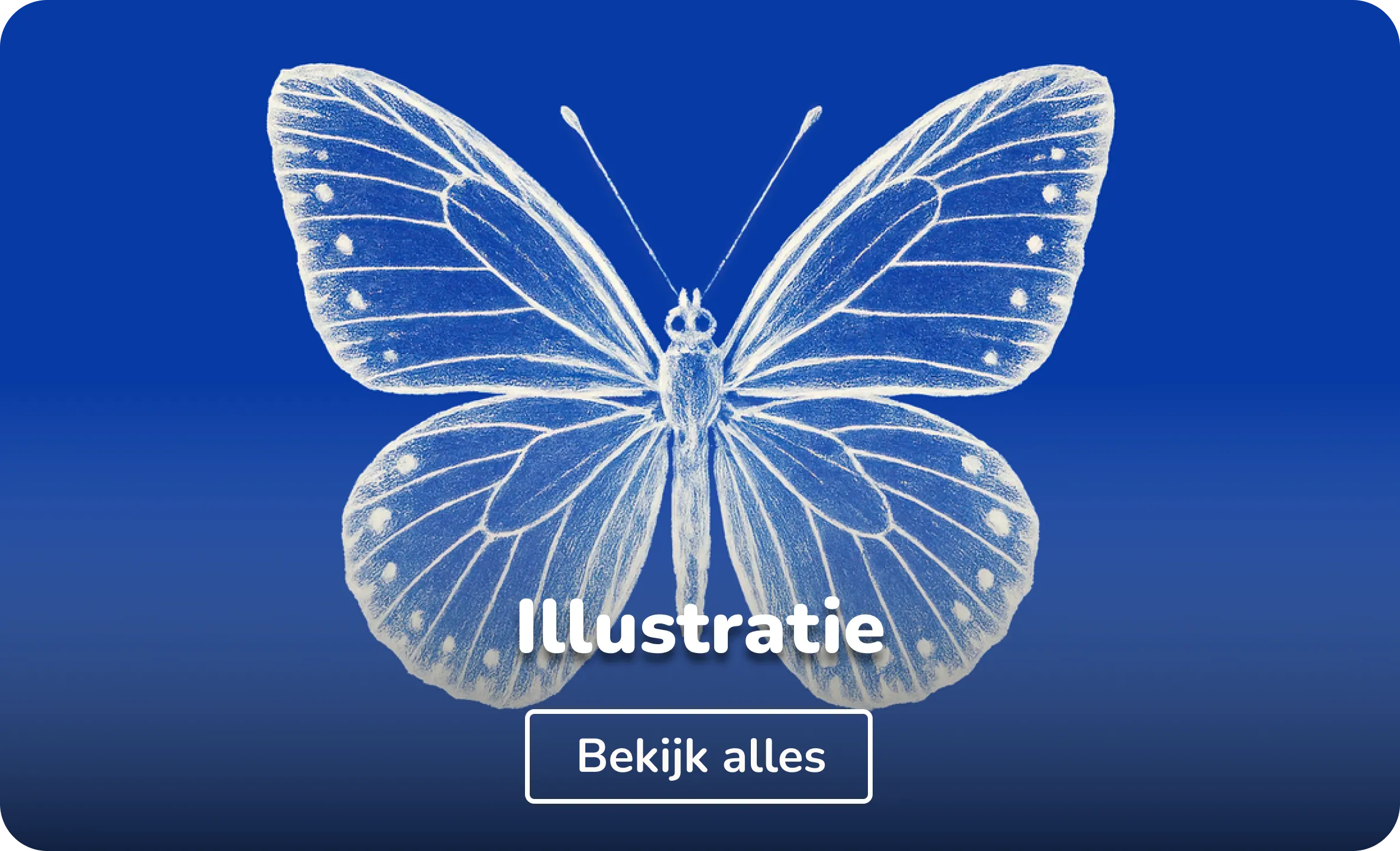 Posters illustraties