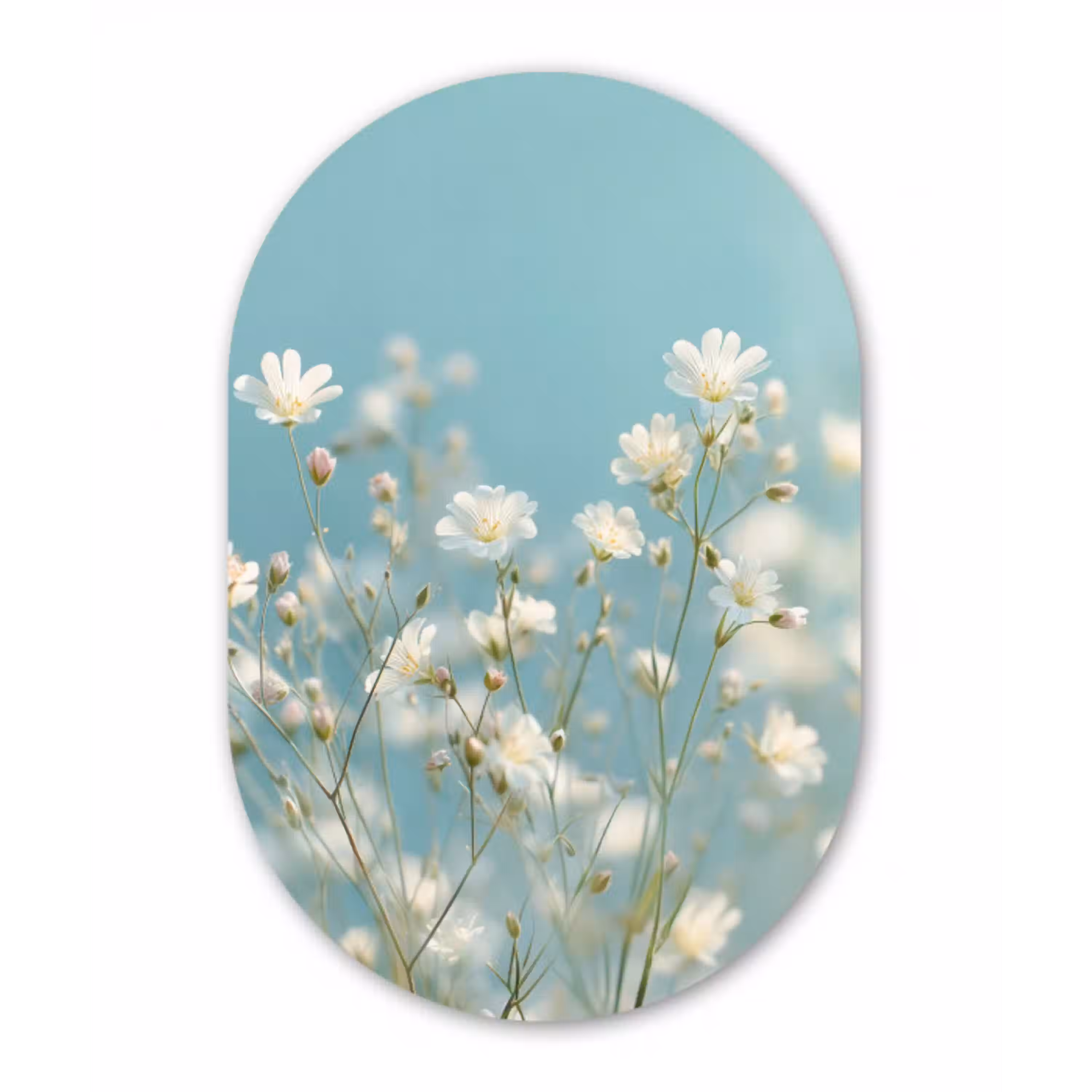 Stengels - Bloemen - Lucht - Wit Wandcirkel Ovaal Aluminium middel -3d
