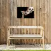 Moederlijke tederheid bij giraffen Tuinposter op houten frame 2 cm dik klein -sfeer4