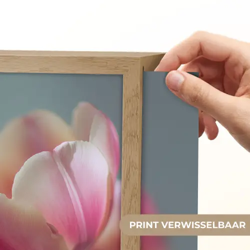 Tulpen - Roze - Stelen Light Box met batterij (Wandlamp) middel -USP_websiteprintNL