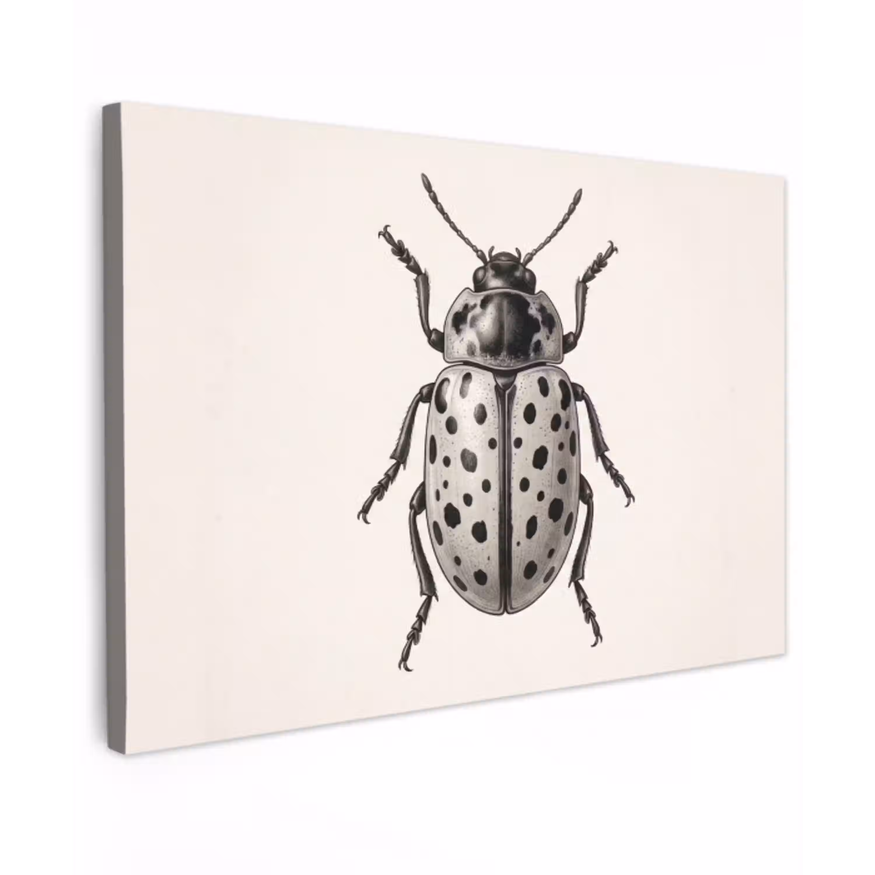 Kever - Insect - Vintage Tuinposter op houten frame 2 cm dik klein -3d