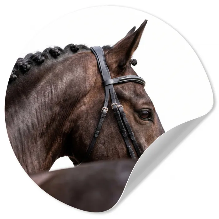 Portret - Paard - Elegant Wandcirkel behangsticker klein -3d
