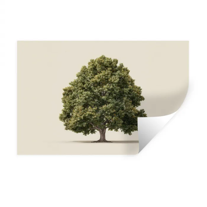 Eikenboom - Groen - Lichte achtergrond Muursticker klein -3d