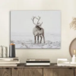 Rendier - Gewei - Sneeuw - Winter PET vilt klein -sfeer1