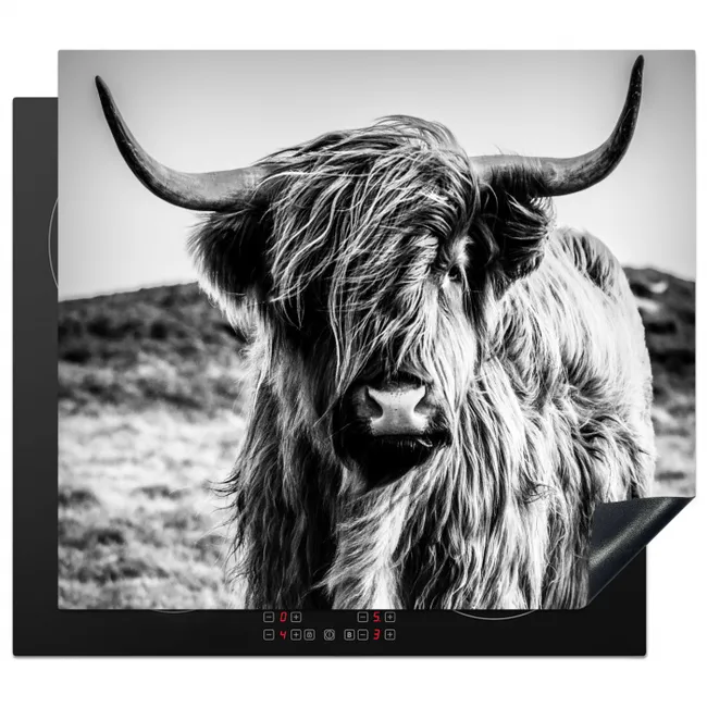 Protection plaque induction - Highlander écossais - Nature - Vache - Noir - Blanc