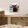Schotse hooglander - Bruin - Water aluminium wit klein -sfeer3