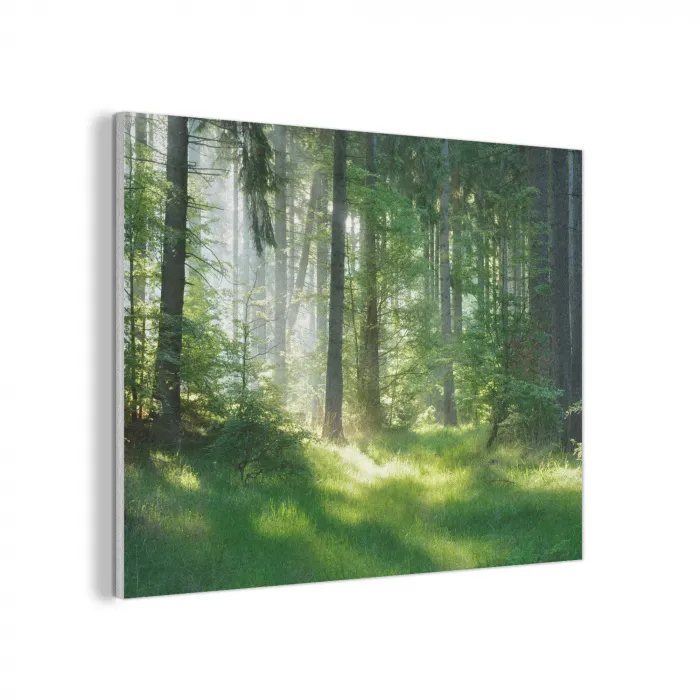 Natuur - Bomen - Bos - Groen - Zon - Gras - Planten PET vilt klein -3d