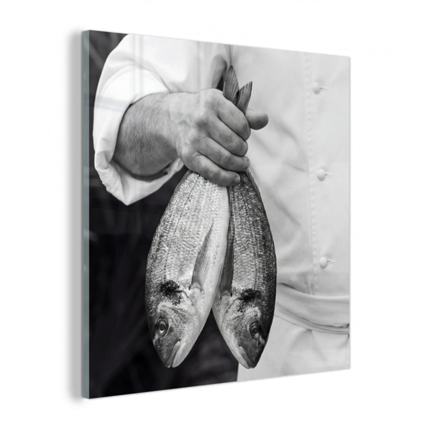 Vissen - Chef - Zwart - Wit plexiglas 5mm klein -z3d