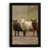Schapen - Bruin - Wit - Grindpad fotolijst zwart zonder passe partout klein -3d
