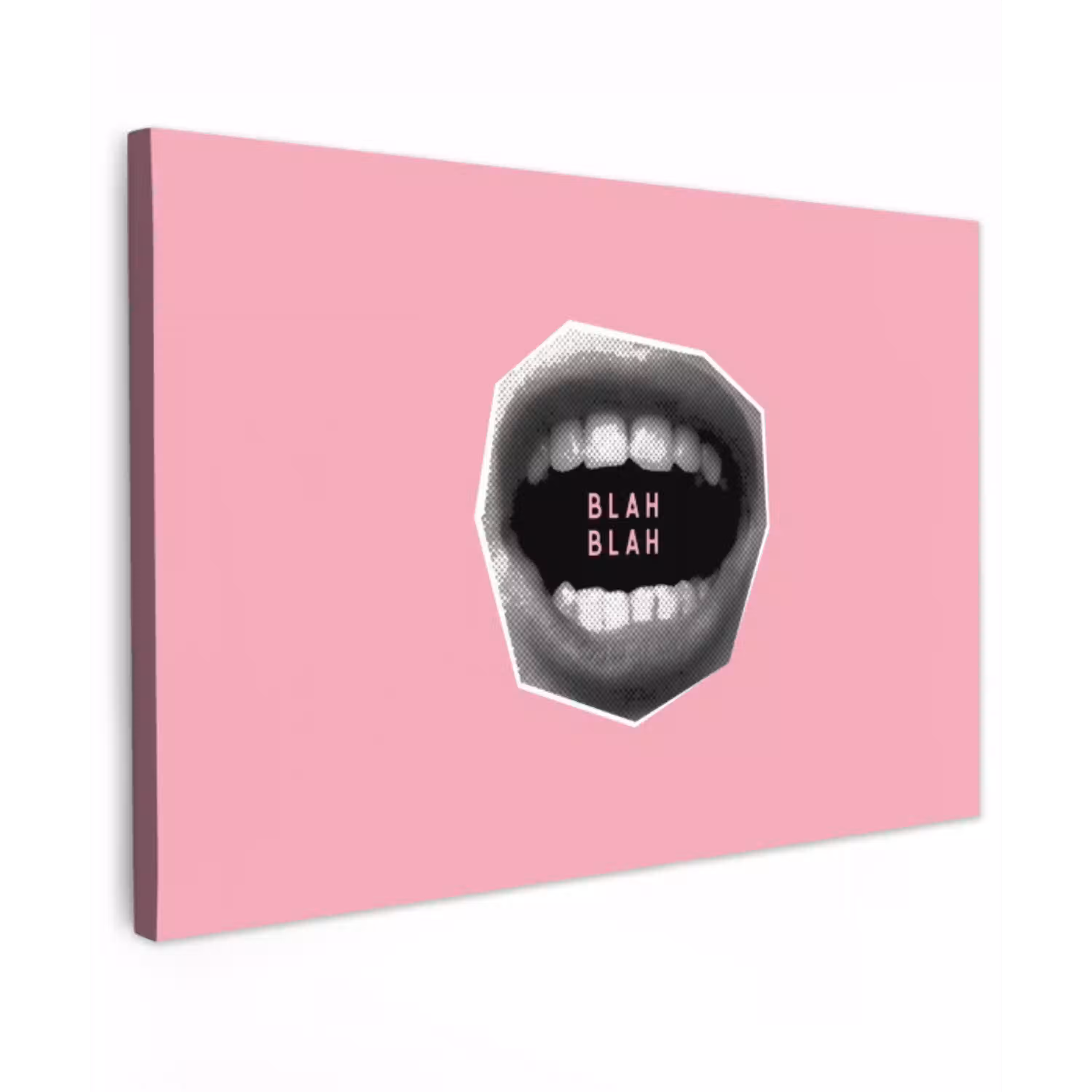 Mond - BLAH BLAH - Roze Tuinposter op houten frame 2 cm dik klein -3d