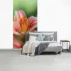 Lelie - Close up - Lichtroze fotobehang vinyl groot -slaapkamer