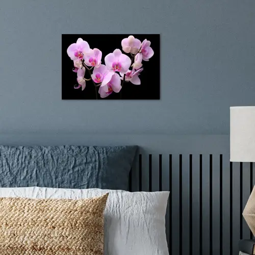 Orchidee - Bloemen - Roze - Flora poster papier klein -sfeer2