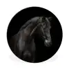 Paard - Dieren - Zwart - Portret Wandcirkel aluminium klein -3d