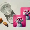 Pink - Hond - Bubbel onderzetter kurk middel -sfeer4
