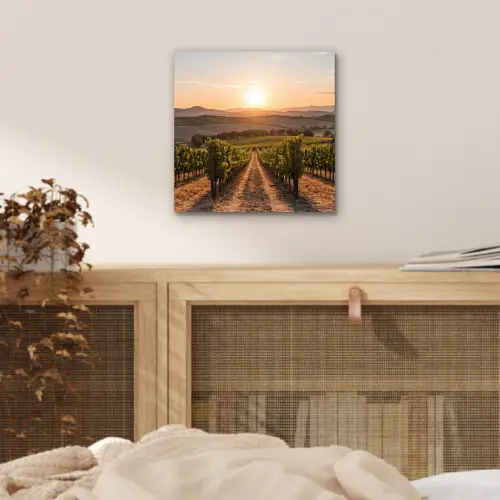 Wijngaard - Zonsondergang - Landschap aluminium wit klein -sfeer3