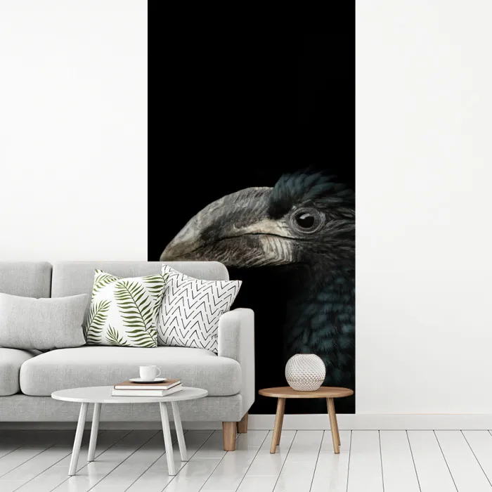 Vogel - Portret - Neushoornvogel - Zwart - Dieren fotobehang vinyl groot -woonkamer