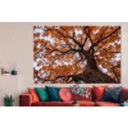 Boom - Bladerdak - Herfst - Oranje - Sfeervol forex 5mm xxl -woonkamer