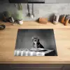 Bengaal - Kat - Tafelkleed - Zwart - Wit - Dier Inductie beschermer vinyl 3mm middel -sfeer5