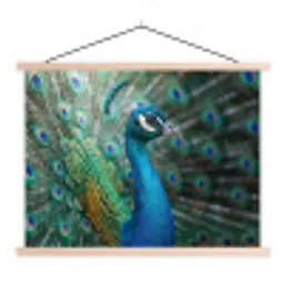 Pauw - Veren - Blauw textielposter latten blank klein -3d