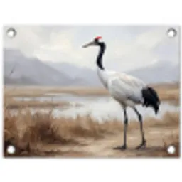 Kraanvogel - Natuur - Realistisch tuinposter los doek klein -3d