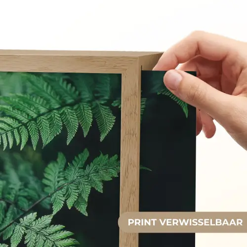 Varenblad - Groen - Structuur - Wazig Light Box met batterij (Wandlamp) middel -USP_websiteprintNL