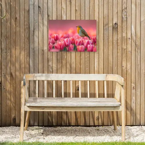 Roodborstje in Tulpenveld Tuinposter op houten frame 2 cm dik klein -sfeer4