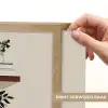 Plankjes - Boeken - Vaasjes - Planten Light Box met batterij (Wandlamp) middel -USP_websiteprintNL