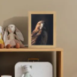 Roofvogel - Buizerd - Bruin Light Box met kabel (Kinderlampje) klein -sfeer2_kind