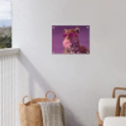 Panter - Zonnebril - Kauwgombel - Roze tuinposter los doek klein -sfeer8