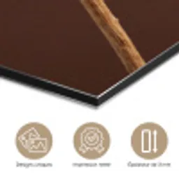 Papaverbol - Droogbloem - Bruin - Minimalistisch aluminium wit klein -closeup_FR