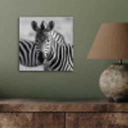 Zebra's - Zwart - Wit aluminium wit klein -sfeer2