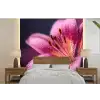 Roze - lelie - Dauwdruppels fotobehang vinyl groot -bed