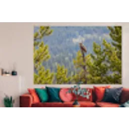 Uil - Oehoe - Bomen - Natuur forex 5mm xxl -woonkamer