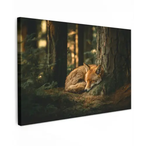 Vos - Bos - Slapen canvas 2cm klein -z3d