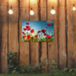 Klaprozen in tegenlicht tuinposter los doek klein -sfeer1