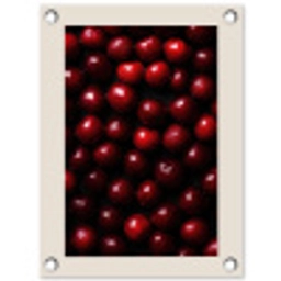 Kersen - Rood tuinposter los doek klein -3d