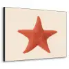 Zeester - Bobbels - Rood Textielframe - compleet frame klein -3d